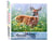 Peinture par Numéro Figured'Art - Biche dans la prairie - Kit de Loisir Créatif DIY Numéro d'Art Complet - 40x50cm sans châssis en bois