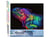 Peinture par Numéro Figured'Art - Caméléon coloré - Kit de Loisir Créatif DIY Numéro d'Art Complet - 40x50cm sans châssis en bois