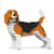 Chien Beagle qui tourne la tête Taille standard | JEKCA | 14 ans et +