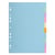 Intercalaires carte pastel 170g Forever 10 positions - A4 - Couleurs assorties - x 25 - Exacompta