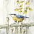 Lot de 4 serviettes en papier découpage collage 33 cm OISEAU SUR BARRIERE O 100 EC