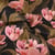Tissu Toile de Coton Canvas Digital Fleurs botaniques vintage sur fond Noir