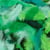 Plumes colorées 10 gr vert - Artemio