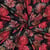 Tissu Jersey Coton imprimé Fleuris Mirasol sur fond Noir