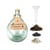 Terrarium végétal à faire soi même 5L