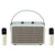 Enceinte Bluetooth Karaoke Portable Bois Texture Cuir Gris Double Microphone Batterie Longue Durée YONIS
