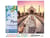 Peinture par Numéro Figured'Art avec Cadre - Balade Romantique Taj Mahal - Kit de Loisir Créatif DIY Numéro d'Art - 40x50cm toile tendue sur châssis