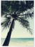 Poster Nature Palmier plage | A3 : 29,7x42cm