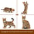 Bengal (4 en 1) brun | JEKCA | 14 ans et +