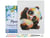 Peinture par Numéro Figured'Art avec Cadre - Panda et Lunettes - Kit de Loisir Créatif DIY Numéro d'Art Complet - 40x50cm toile tendue sur châssis