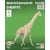 Quay - Maquette en bois Girafe
