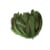 Graine Créative - Plumes nageoire d'oie dégradé vert 20g