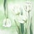 Lot de 4 serviettes en papier découpage collage 33 cm TULIPE BLANCHE F 405