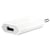 Avizar Chargeur Secteur + Câble Compatible pour iPod iPad iPhone 30-broches Blanc