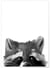 Affiche Racoon | A3 : 29,7x42cm