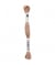 Fil à broder mouliné Uni - Rico Design 253 Marron