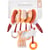 Boulier spirale - Fanfan le Faon - VULLI