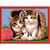 Numero d'art chatons dans une corbeille - ravensburger - 28614 - peinture