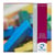 Pastels - Carrés de couleur - Van Gogh - Assortiment de 48 pièces