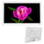 Cadre Photo Numérique LED 21.5 Pouces Haute Résolution 1080p USB SD EU Plug Blanc YONIS