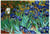 Puzzle 1000 pièces - Van Gogh : Les Iris - Eurographics