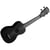 Recycled Learn To Play Color Chord Soprano Kala