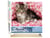 Peinture par Numéro Figured'Art - Chaton enrobé - Kit de Loisir Créatif DIY Numéro d'Art Complet - 40x50cm toile roulée + châssis en bois à monter