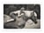 Affiche 50 x 70 cm -  Off to the Races - JAE