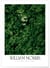 Affiche William Morris n°4 | A3 : 29,7x42cm