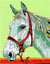 Kit canevas Cheval 20x25cm