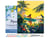 Peinture par Numéro Figured'Art avec Cadre - Surfeuse au coucher du soleil - Kit de Loisir Créatif DIY Numéro d'Art Complet - 40x50cm toile tendue sur châssis