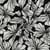 Tissu Viscose imprimé Fleurs Méloria blanches sur fond Noir