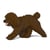 Chien Caniche Nain qui marche marron Taille standard | JEKCA | 14 ans et +