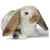 Peluche lapin marron aux oreilles tombantes 27 cm - classic animaux de la ferme - living nature