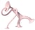 Figurine d'Action Oogi - Moluk