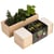 Resetea - Kit d'Auto-culture Gin Tonic - Romarin, fraise et concombre
