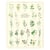 Longue vue editions - Plantes aromatiques de France - Affiche 24 x 30 cm