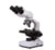 Microscope  Erudit Basic 40 400x