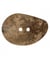 Carte de 1 bouton galet navette Taupe 2 trous 54mm - Union Knopf Marron