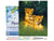 Peinture par Numéro Figured'Art avec Cadre - Lionceaux - Kit de Loisir Créatif DIY Numéro d'Art Complet - 40x50cm toile tendue sur châssis