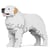 Chien de montagne des Pyrénées Taille standard | JEKCA | 14 ans et +