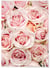 Poster Nature Roses | A3 : 29,7x42cm