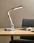 Lampe de Bureau Argentée en Matière Synthétique avec 3 Modes CCT Port USB Abat-Jour Réglable