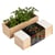 Resetea - Kit d'Auto-culture Pizza - Origan, basilic et tomate cerise