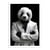 Affiche 50x70 cm - Panda Wild Suits - Philippe Hugonnard