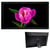 Cadre Photo Numérique 21.5' IPS WiFi Haute Définition Transmission Cloud YONIS