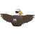 Eugy 3D Modèle: OISEAU / AIGLE 12x5,9x5,7cm, en carton, en boîte, 6+