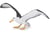 Figurine Albatros - Papo