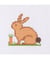 Mon 1er kit point de croix - Lapin - Anchor Marron