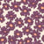 Tissu Sweat envers molletonné Cosmia fleurs Aubergines sur fond Beige - Au mètre